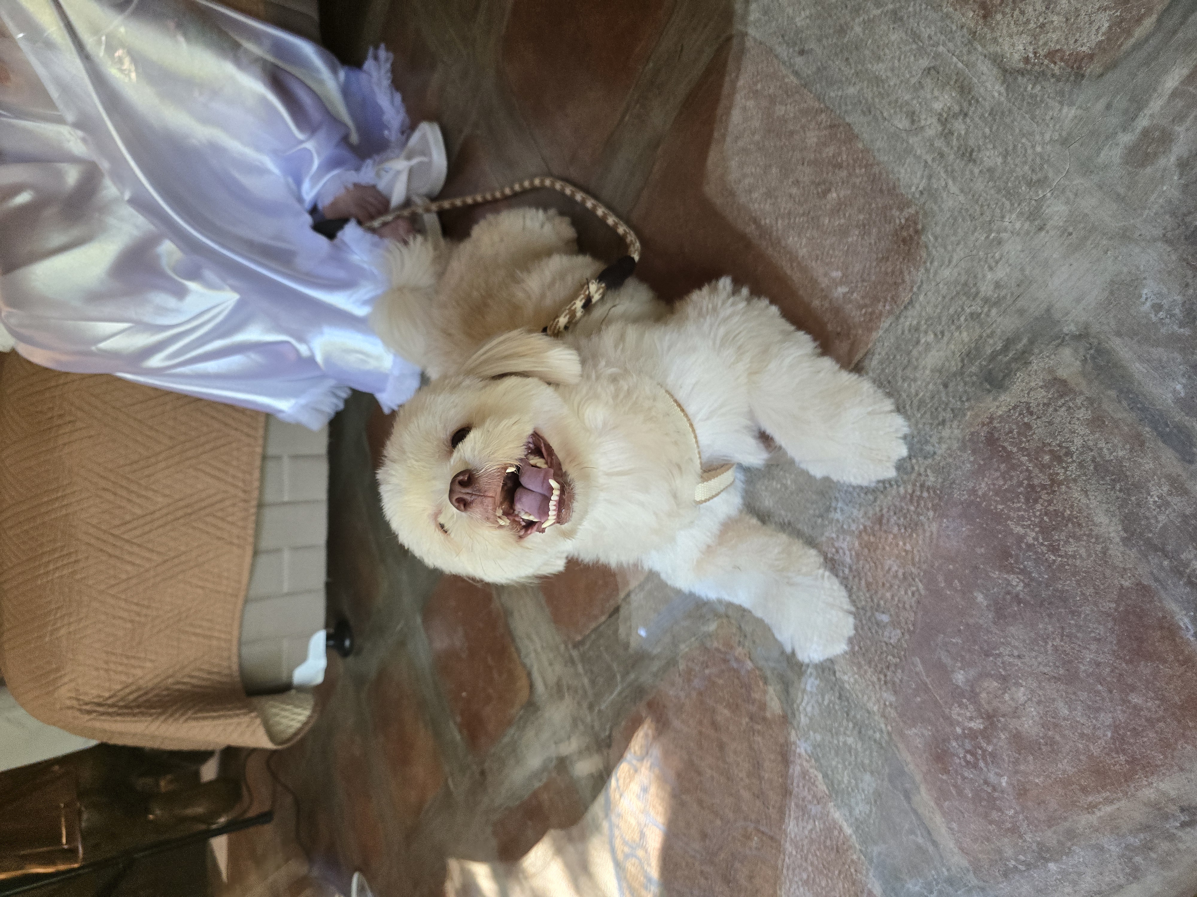 YtEpXZ4p62cC Inbound4204442515010333949